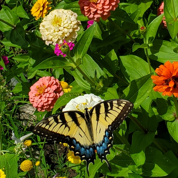 ⚾️⚾️ PLEASE.... no low balling... - Picture 11 of 16